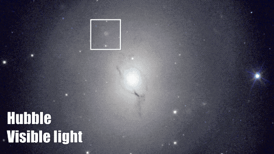 This animated GIF shows the region of the sky where the gravitational waves and gamma-ray burst were detected as seen by Hubble in visible light and Chandra in X-ray light, fading between the two. In visible light, there is a bright oval-shaped galaxy that takes up most of the image with a bright, white center region that fades into gray clouds around it. The site of the gamma-ray burst is outlined in a box, and shows a dim source in visible light about half way between the center of the galaxy and its edge. In X-ray light, the galaxy’s center and a couple of other sources appear as dots encircled in blue. The galaxy itself does not show up in X-rays. The site of the gamma-ray burst is a bright blue source. 